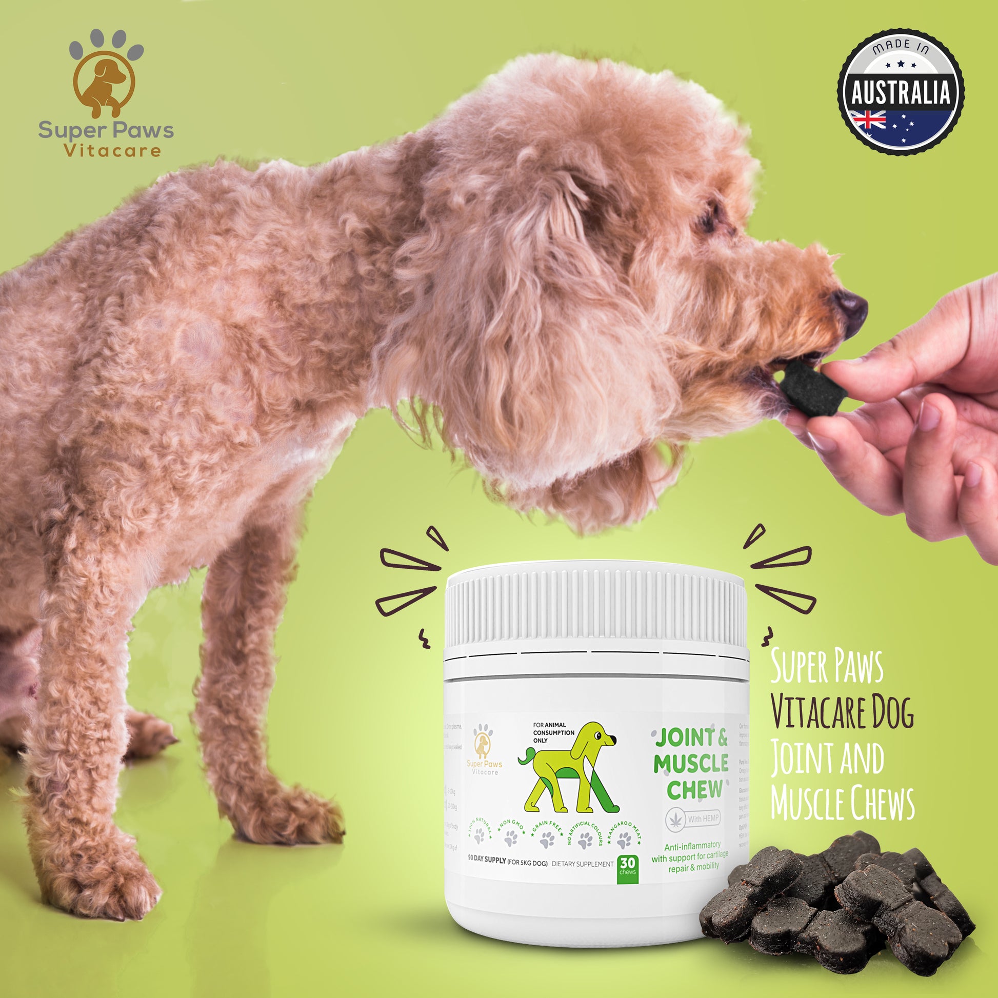 Joint & Muscle Support Chews with Hemp for Dogs by Super Paws Vitacare - Super Paws Vitacare