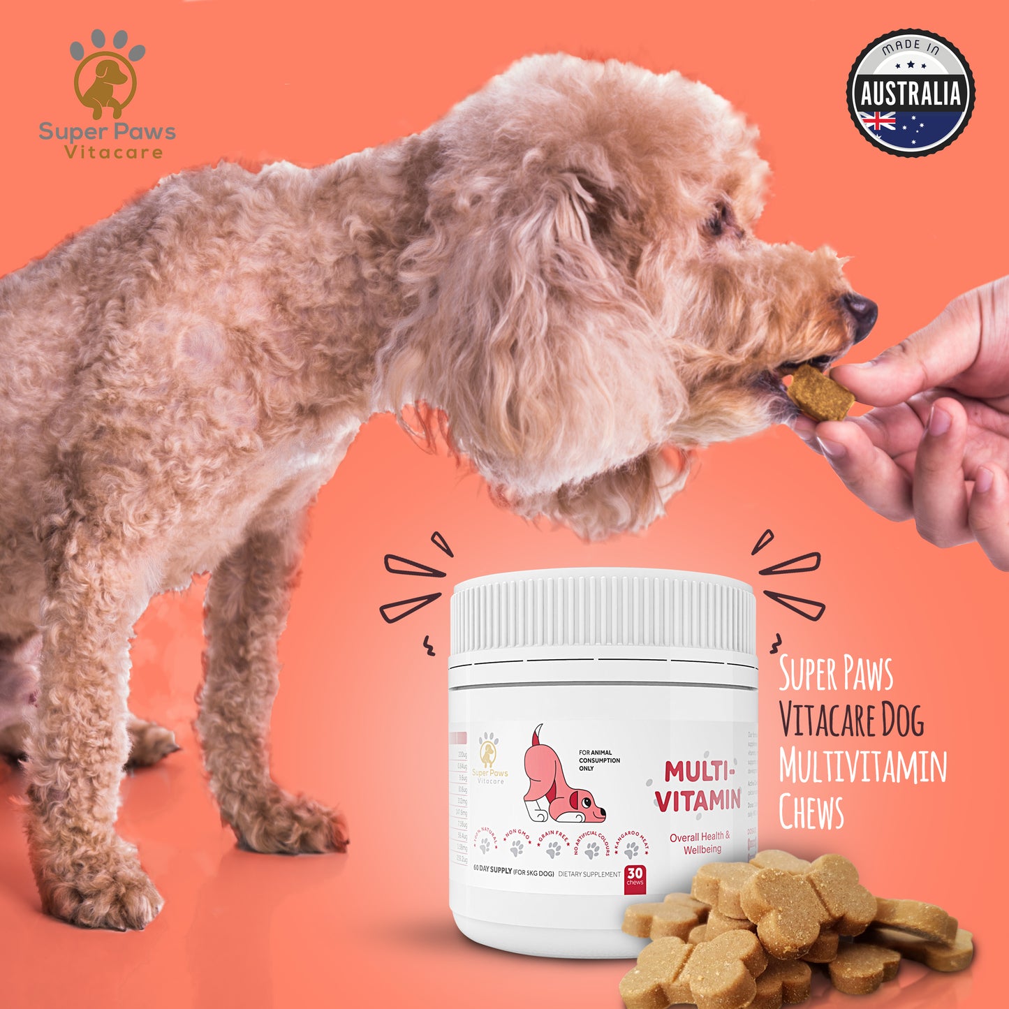 Multivitamin Chews for Dogs by Super Paws Vitacare - Super Paws Vitacare