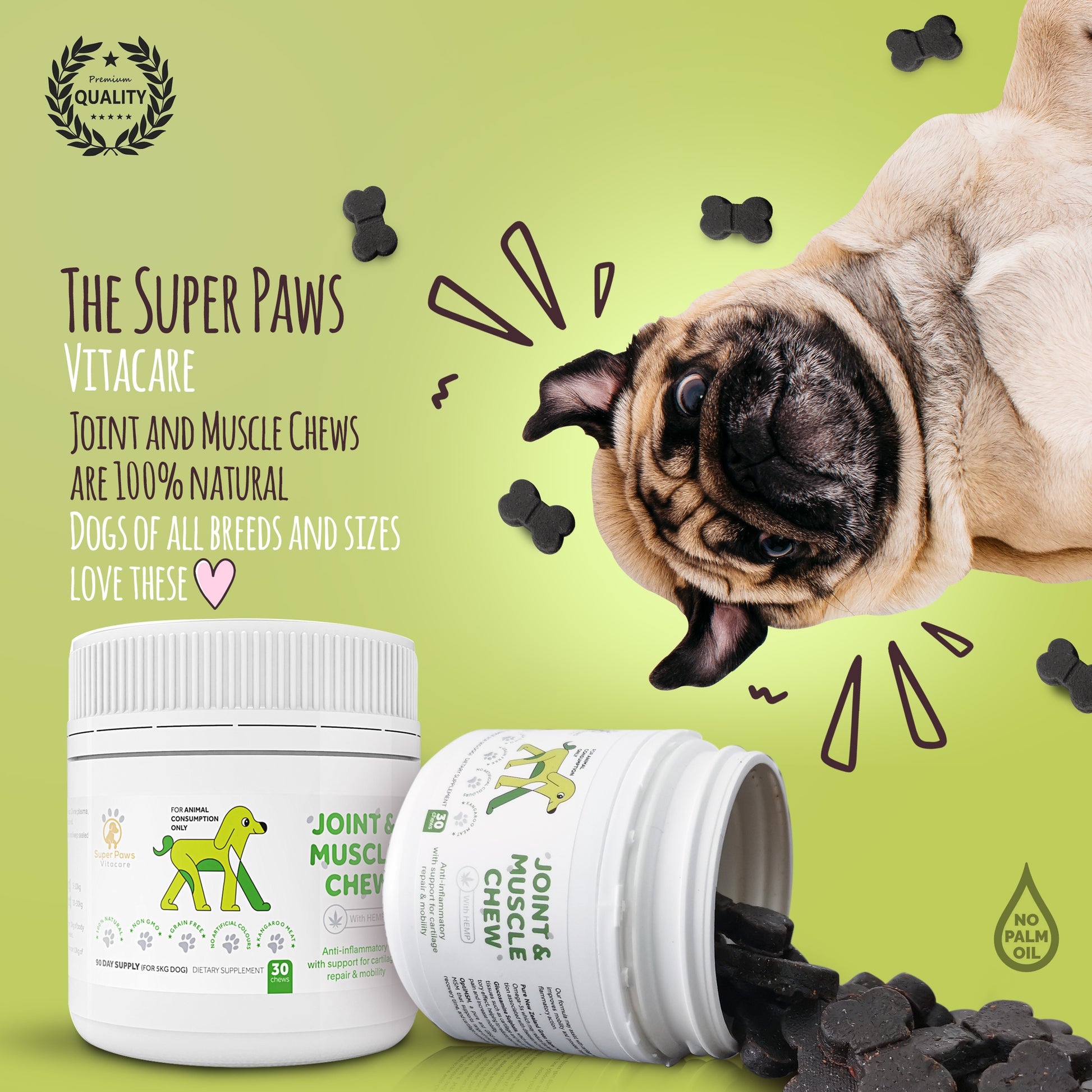 Joint & Muscle Support Chews with Hemp for Dogs by Super Paws Vitacare - Super Paws Vitacare