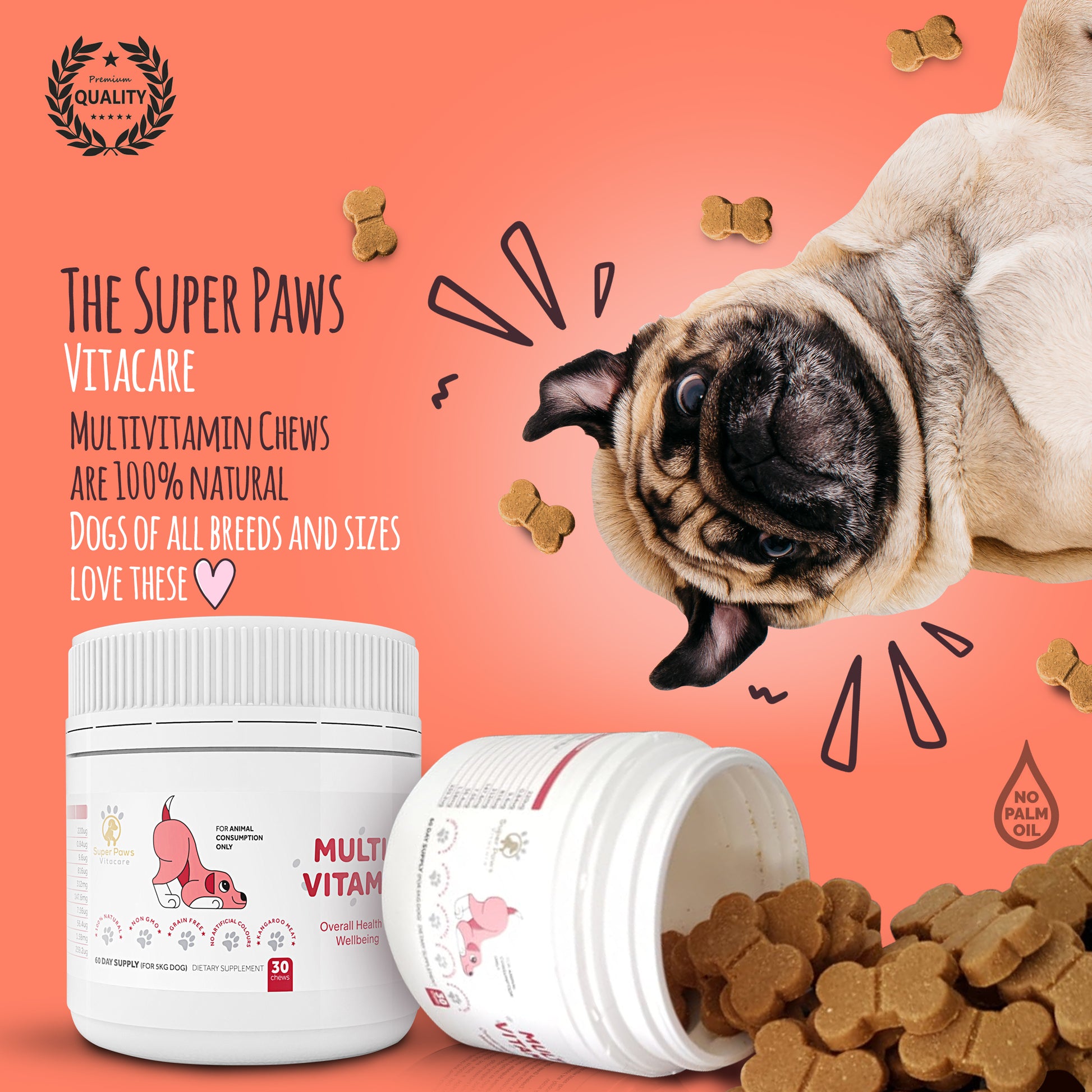 Multivitamin Chews for Dogs by Super Paws Vitacare - Super Paws Vitacare