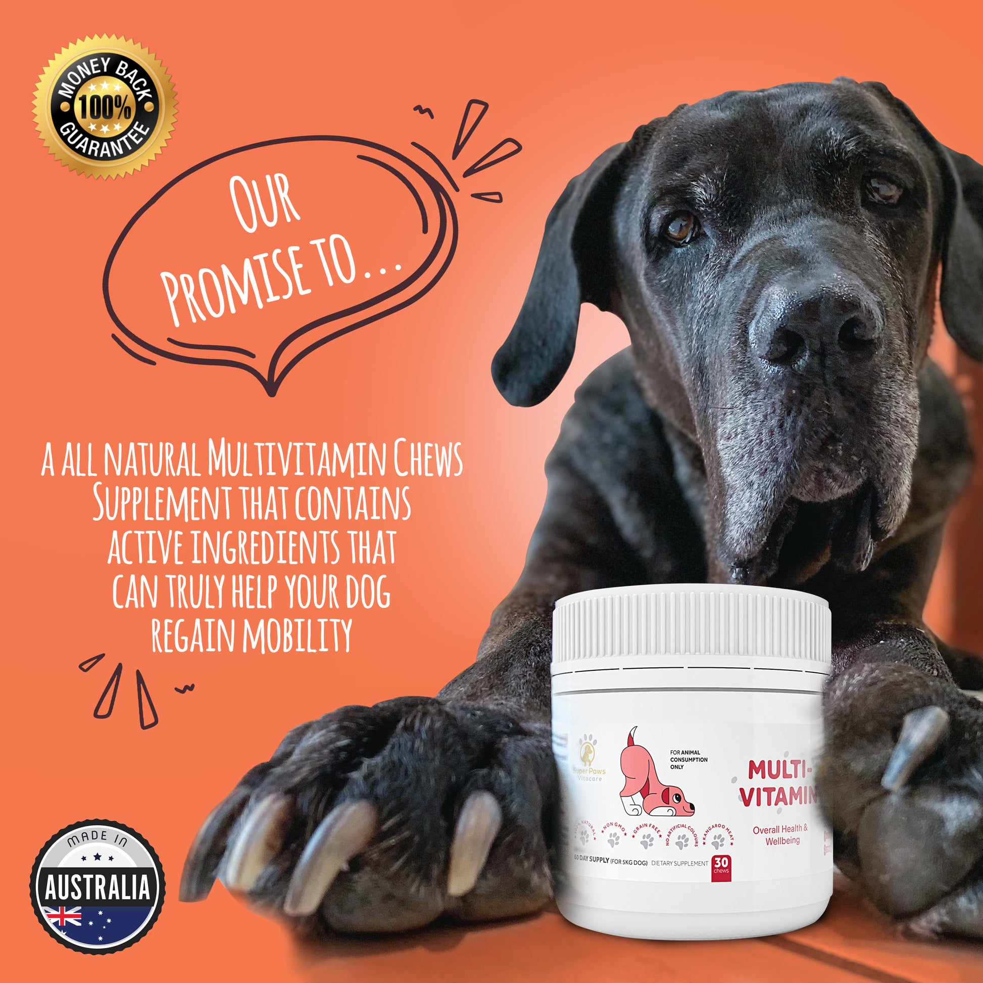 Multivitamin Chews for Dogs by Super Paws Vitacare - Super Paws Vitacare