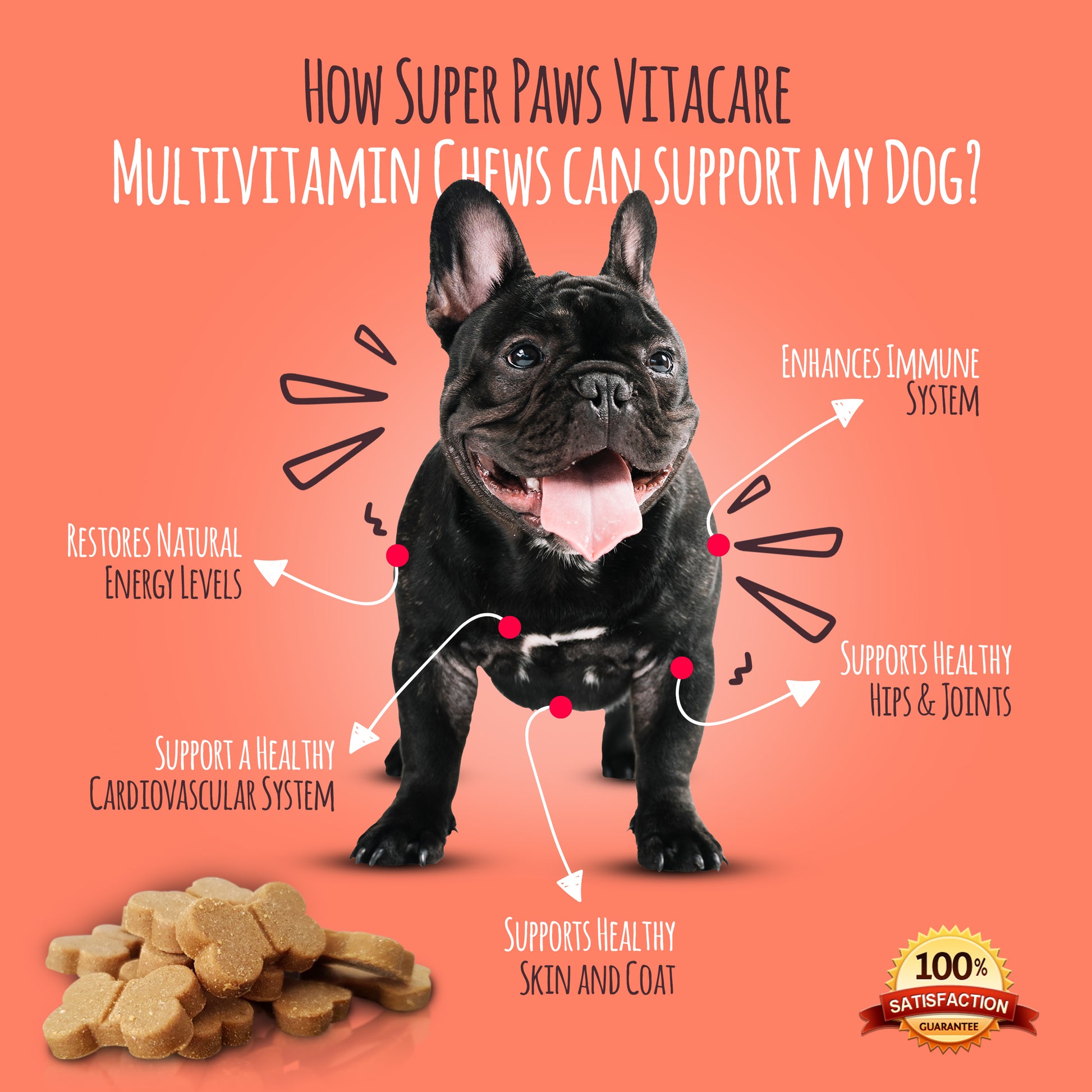 Multivitamin Chews for Dogs by Super Paws Vitacare - Super Paws Vitacare