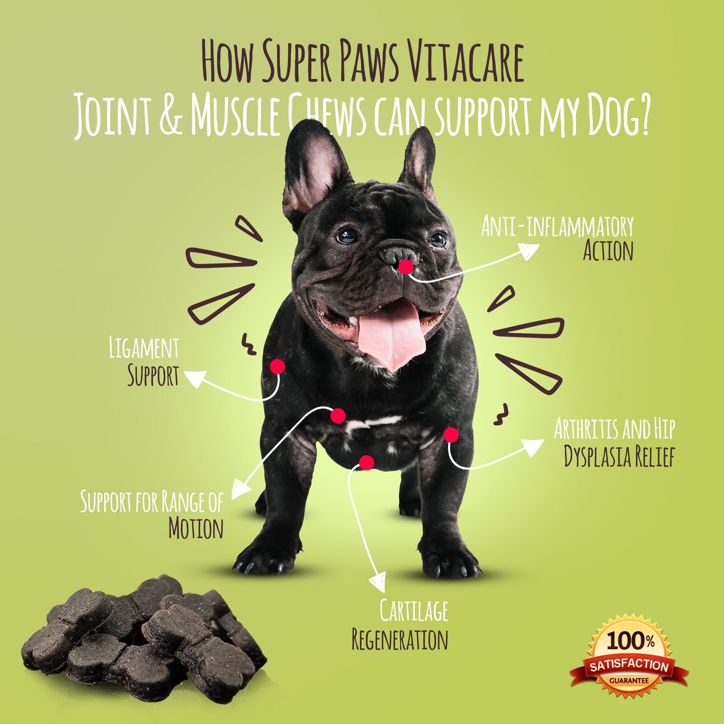 Joint & Muscle Support Chews with Hemp for Dogs by Super Paws Vitacare - Super Paws Vitacare